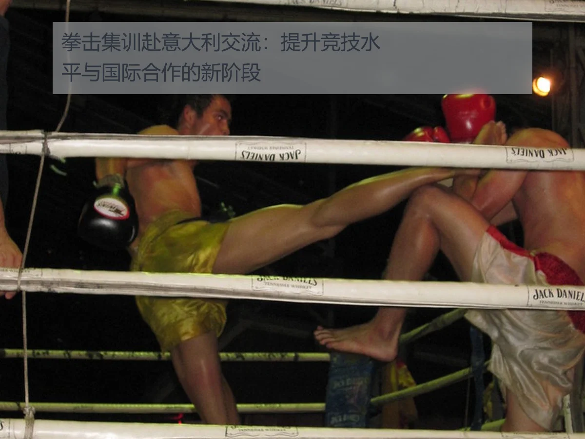 拳击集训赴意大利交流：提升竞技水平与国际合作的新阶段