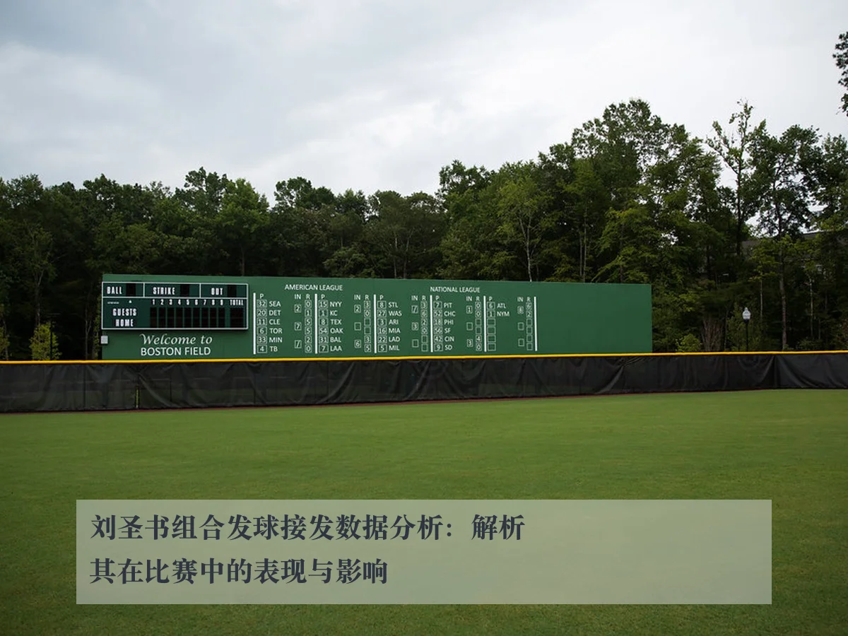 刘圣书组合发球接发数据分析:解析其在比赛中的表现与影响