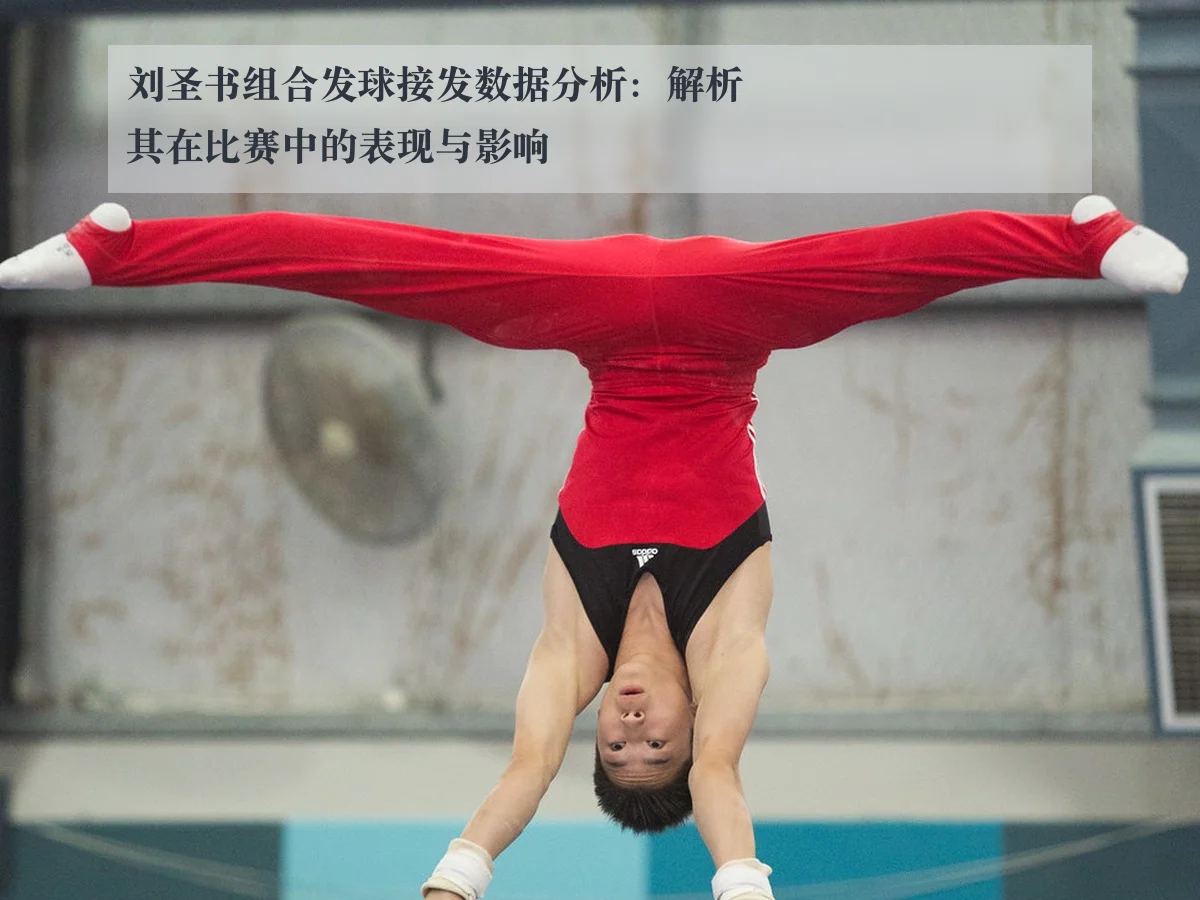 刘圣书组合发球接发数据分析:解析其在比赛中的表现与影响